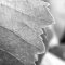 breadcrumbs_bckgrd